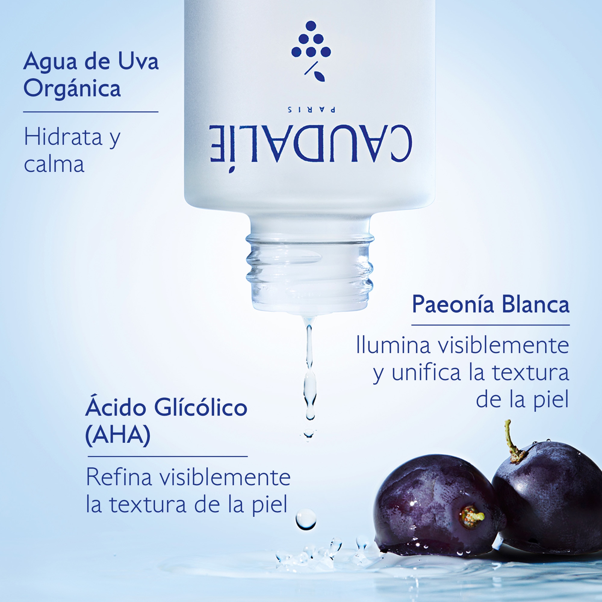 VINOPERFECT BRIGHT GLYCOLIC ESS (VINOPERFECT ESENCIA ILUMINADORA CONCENTRADA)